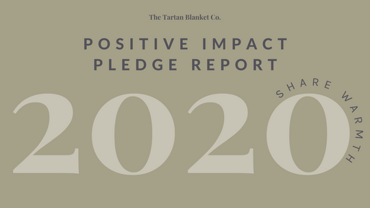 Positive Impact Report 2020 