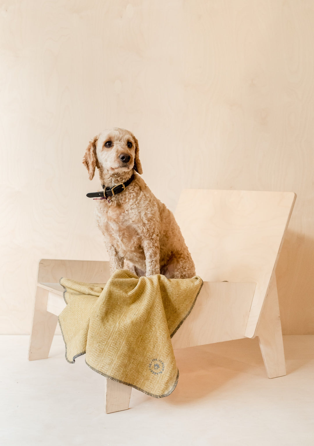 Royal Stewart Tartan Dog Coat - Large – The Wee Tartan Shop