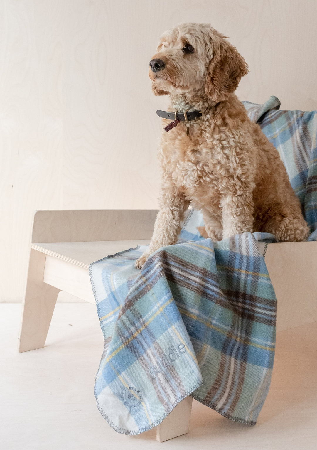 Recycled Wool Large Pet Blanket in Stewart Muted Blue Tartan
